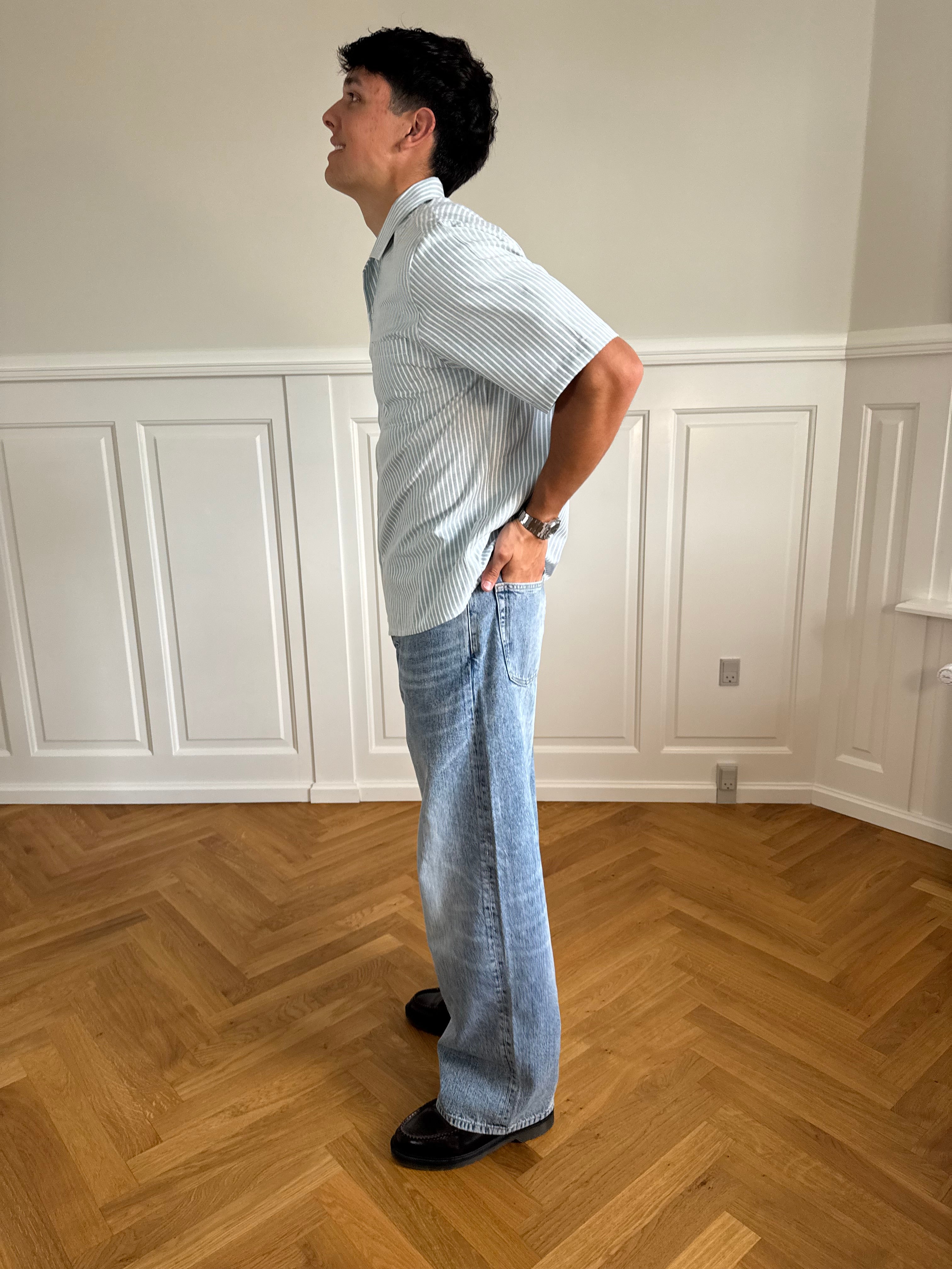 KORTÆRMET SKJORTE - GRØNSTRIBET