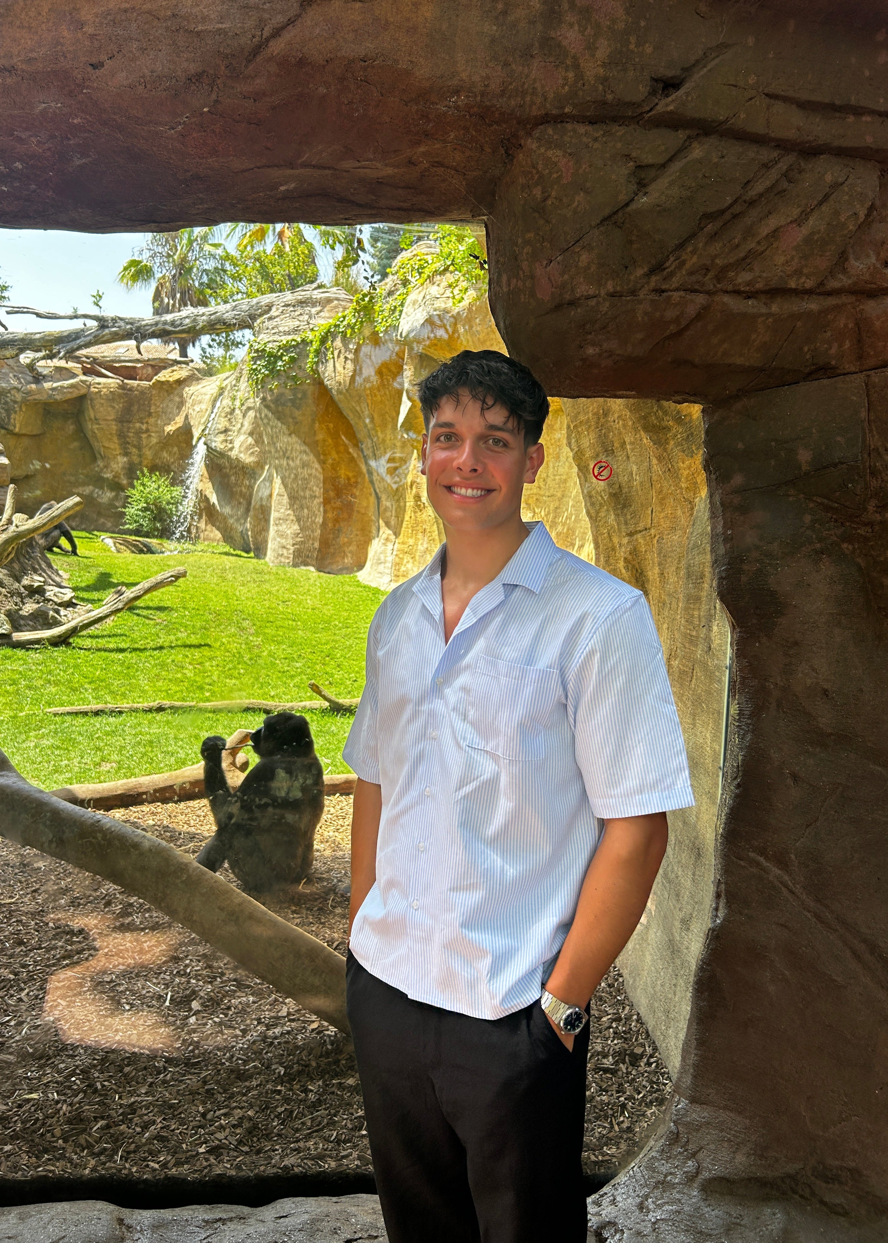 KORTÆRMET SKJORTE - TYND BLÅSTRIBET