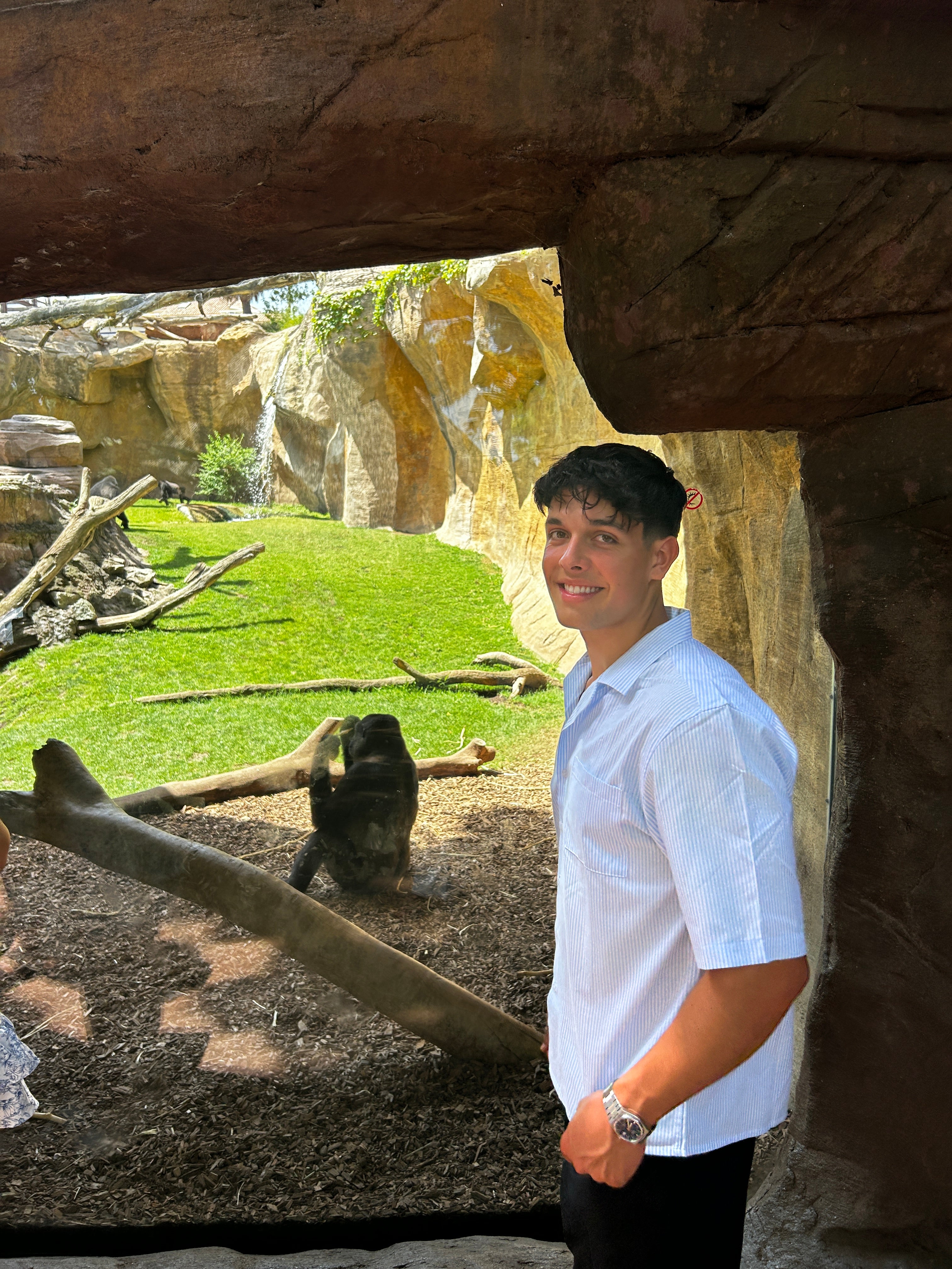 KORTÆRMET SKJORTE - TYND BLÅSTRIBET